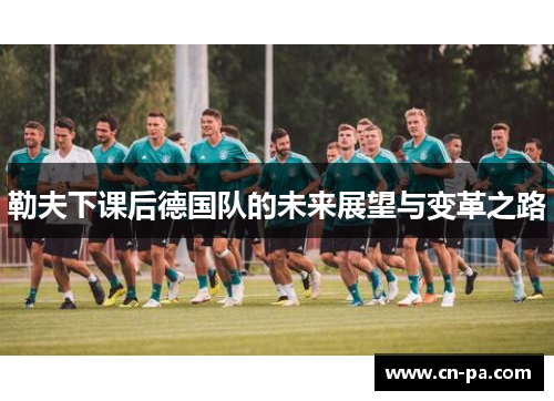 勒夫下课后德国队的未来展望与变革之路