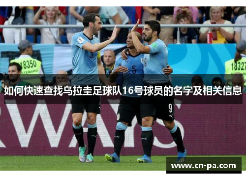 如何快速查找乌拉圭足球队16号球员的名字及相关信息