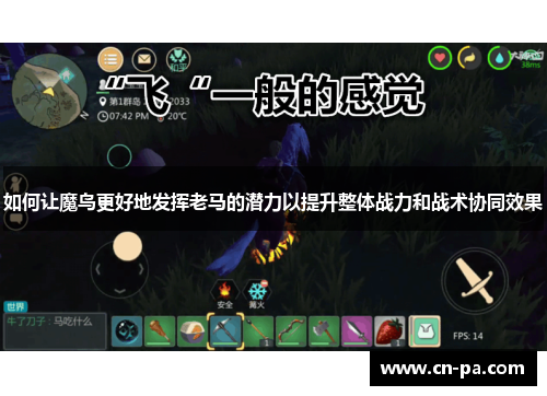 如何让魔鸟更好地发挥老马的潜力以提升整体战力和战术协同效果