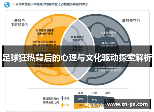 足球狂热背后的心理与文化驱动探索解析
