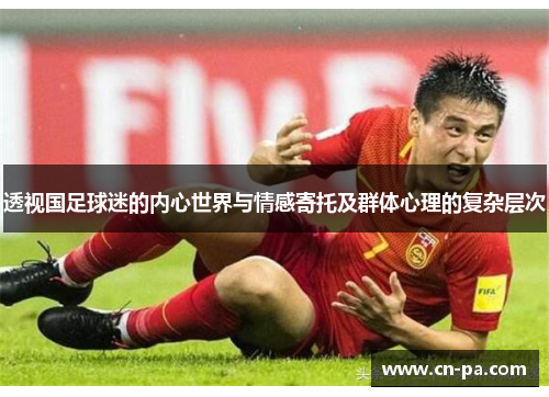 透视国足球迷的内心世界与情感寄托及群体心理的复杂层次