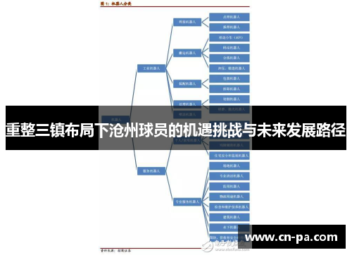 重整三镇布局下沧州球员的机遇挑战与未来发展路径