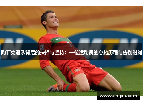陶菲克退队背后的抉择与坚持：一位运动员的心路历程与告别时刻