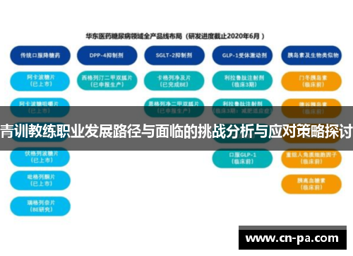 青训教练职业发展路径与面临的挑战分析与应对策略探讨