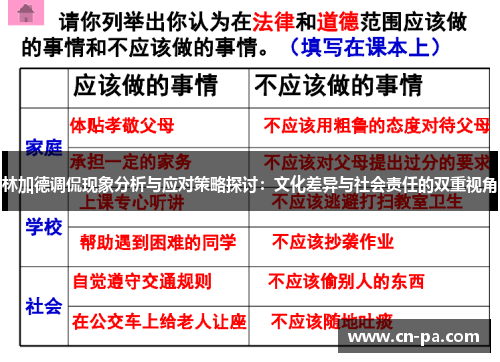 林加德调侃现象分析与应对策略探讨：文化差异与社会责任的双重视角