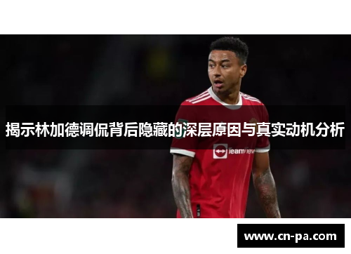 揭示林加德调侃背后隐藏的深层原因与真实动机分析