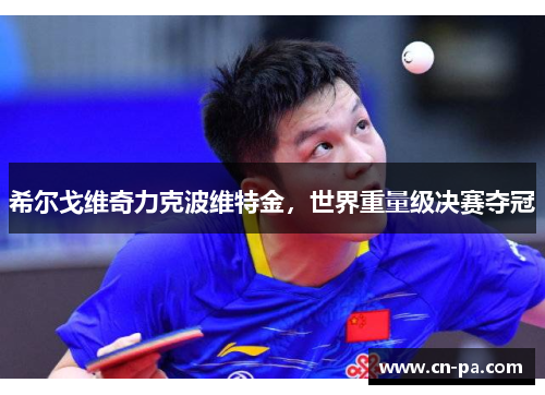 希尔戈维奇力克波维特金，世界重量级决赛夺冠