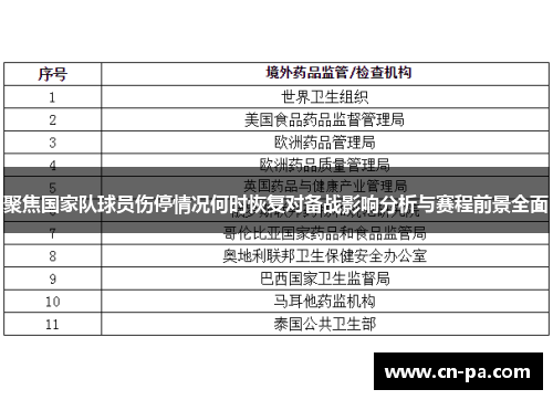 聚焦国家队球员伤停情况何时恢复对备战影响分析与赛程前景全面