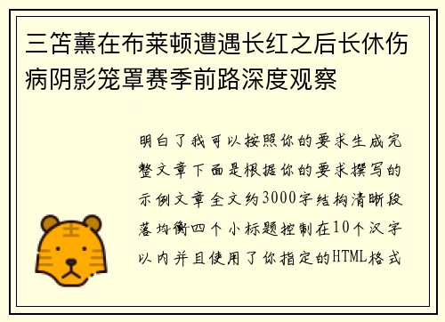 三笘薰在布莱顿遭遇长红之后长休伤病阴影笼罩赛季前路深度观察