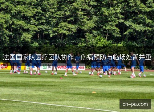 法国国家队医疗团队协作，伤病预防与临场处置并重