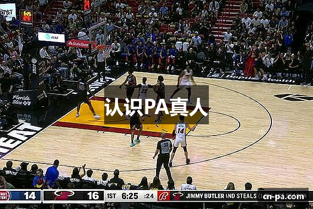 认识PA真人